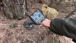 Tarihi Cam Ormanında Muhteşem Define Arayışı