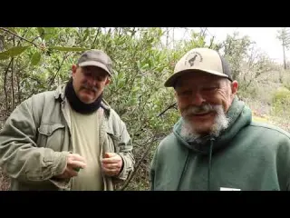 How I determine where to look for gold on a hillside