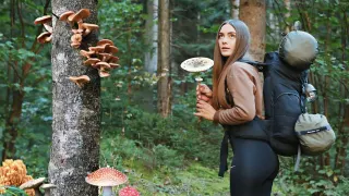 Solo trip with Canvas Hot tent in the mushroom woods