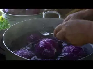 Village Style Red Cabbage Dolma