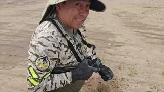 Una SERPIENTE Protegía la PLATA Enterrada del CAMINO Real