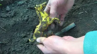 I Found 13 Wedding Rings Metal Detecting Underwater