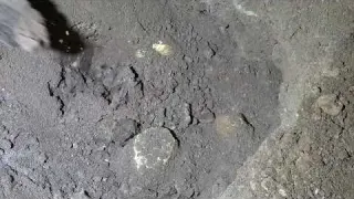 Подводный поиск металлоискателем озеро нас удивило