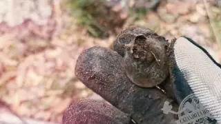 La Cruz en la Roca Relatos de un Cazador de Historia