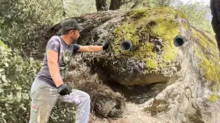 Büyük Kaplumbağa işareti Define Müjdesini Verdi