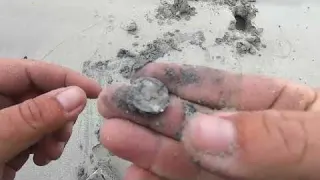 Beach Metal Detecting in South Africa