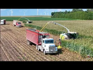 Chopping Corn Silage at Benton Dairy with two Claas