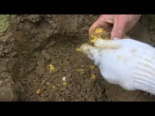 Exploring the Treasure Secrets of the Dark Forest Metal