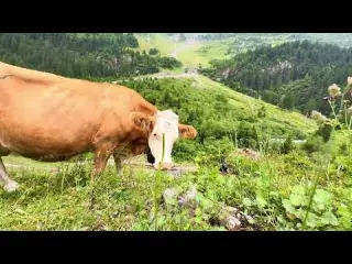 I found the most isolated village in the Swiss Alps