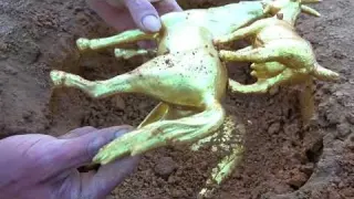 Unbelievable Gold Discovery Giant Nuggets Found Inside Rock
