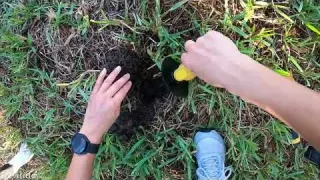 Metal Detecting My Backyard