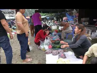 115 Harvest bamboo shoots Go to the market to sell bamboo