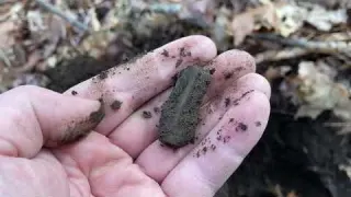 INSANE DAY Metal Detecting A VIRGIN COLONIAL Site RARE