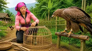 Days Caring for an Injured Bird and Setting It Free