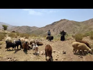 A nomadic woman s brave attempt to survive in a mountain