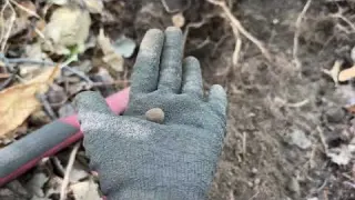 WWI Grenade While Metal Detecting in Italy S I P E
