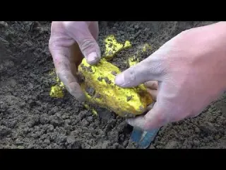 Magnet Fishing in HOLLYWOOD Most Shocking Finds