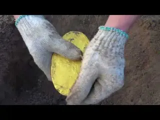 Found Rare 50 000 Amethyst Crystal While Digging at a