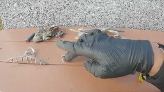マジか 宝探しで警察行きに 砂浜でまさかの宝発見 44 Japanese Beach