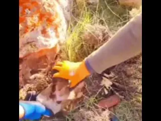 The moment of finding the magical treasure