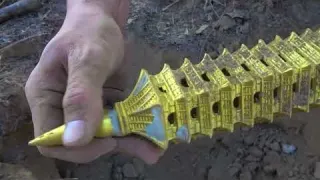 Search for treasure in the wilderness find the treasure