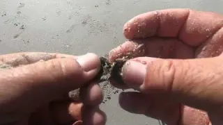 Metal detecting beaches south africa metaldetecting