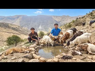 Dying of Thirst in the Zagros Mountains Real Nomadic