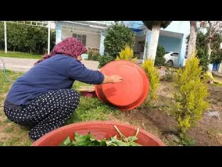 KAYA ARASINDAN ÇIKAN İNANILMAZ LEZZET DAĞDA ŞİFA YEMEĞİ