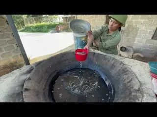 Chicken Farming How to Deworm Chicks and Adult Chickens