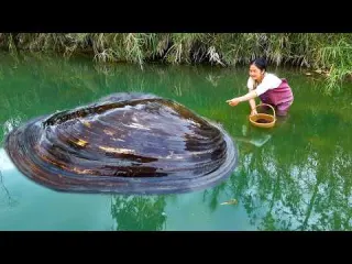 This is the origin of pearls with abundant resources