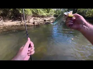 Did all the bass leave Fall Creek Fishing