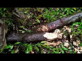 Relaxing Solo Camping in Heavy Rain Tarp Shelter Fire