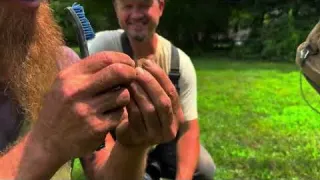 Metal Detecting a House That Stood Before America Existed