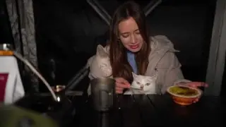 Camping On A Frozen Lake Stormy Wind Cozy Tent With My Cat