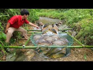 Lam went back to check the two fish traps and was surprised