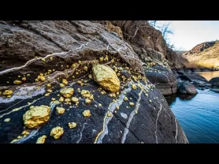 Exploring a Hidden Pond You Won t Believe What s Under the