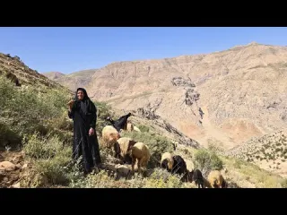 A Journey to the Ranges of Iran A Day with a Nomadic Woman