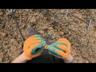 Un ritorno un pò traumatico Xp ORX Metal detector