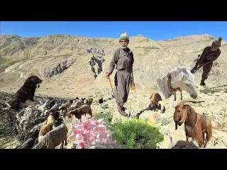 Documentary on nomadic life Days of walking on dangerous