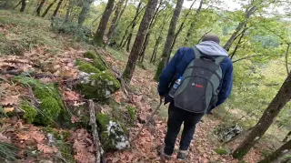 Terazi Define İşareti Nasıl Çözülür