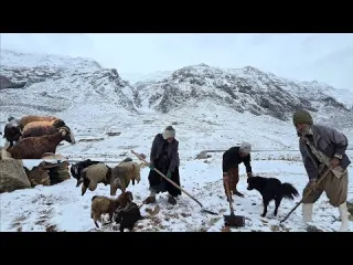 Adventure with nomads Surviving in the snowy mountains in
