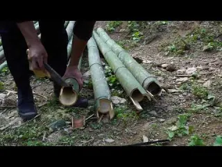 Happy Life in the Deep Forest with Pets Building a