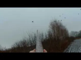 ЛУЧШИЕ ВЫСТРЕЛЫ ГОДА С ОХОТЫ НА УТКУ Весь сезон за 12 минут