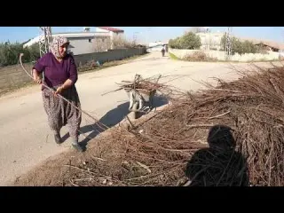 Köyde İftar Yemeği Hazırlığı Tandır Ekmeği Biberli ekmeği