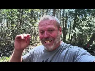 Attacked by clouds of bugs