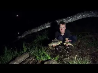Cozy forest lake active fish bite