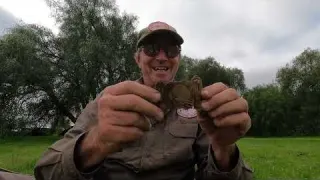 Cricket Buckle Metal Detecting 1860s Homestead Ruins