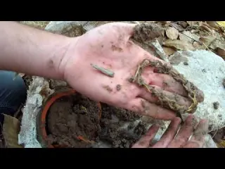 FIND THE TREASURE TREASURE HUNT
