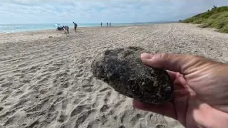 Hunting For Relics Coins and Jewelry at the Beach