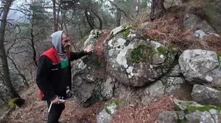 Kaplumbağa Define İşareti Anlamı